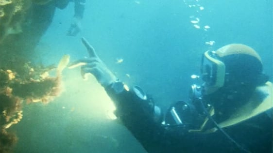 RTÉ cameraman Peter Dorney scuba diving in 1980.