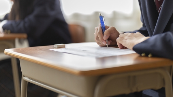 The reforms are due to be rolled out for a number of subjects from September (file image)
