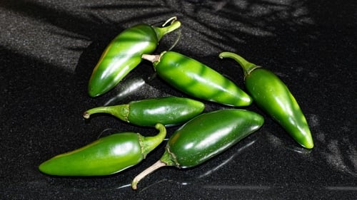 'Pepper cryptic virus 1 renders infected Jalapeño pepper less appealing to aphids compared to uninfected peppers.' Photo: Rafael Albaladejo/Unsplash
