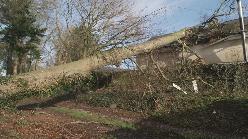 Storm Éowyn brought Ireland's strongest recorded winds