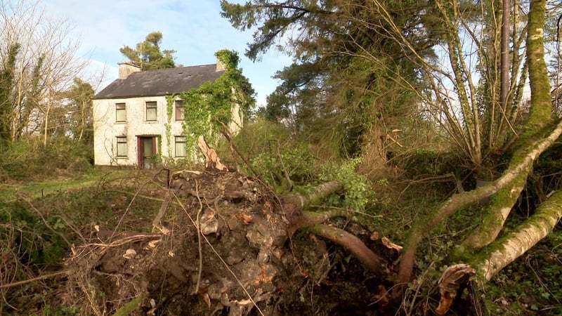 Locals in Dunmore in Co Galway remain without power 15 days after Storm Éowyn