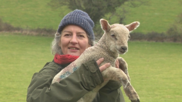 Selena McKenzie from Redcross, Co Wicklow said her sheep were killed and injured by dogs