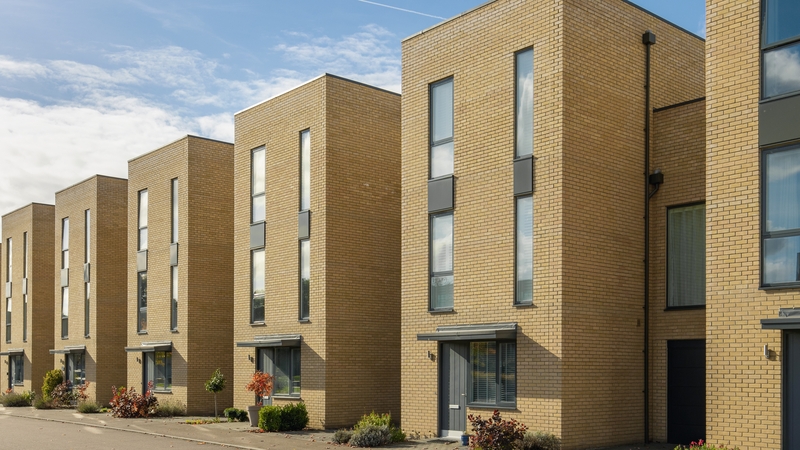 'Ní mór don Stát a bheith níos rannpháirtí i dtithíocht a sholáthar' – Ivana Bacik