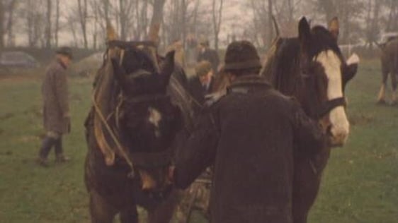 Roundwood Ploughing Competition, Co. Wicklow (1975)