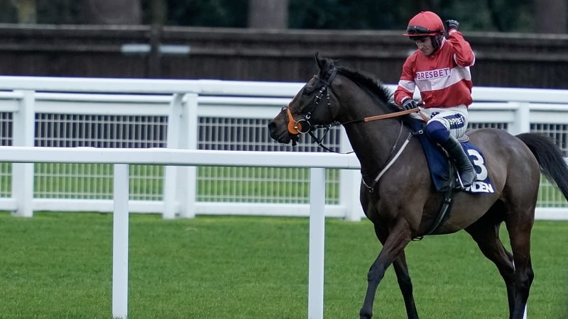 Crambo is a dual winner of the Grade One Long Walk Hurdle at Ascot