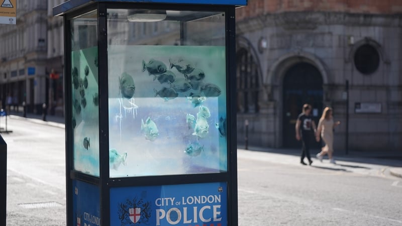 The artwork saw fish painted in a police sentry box