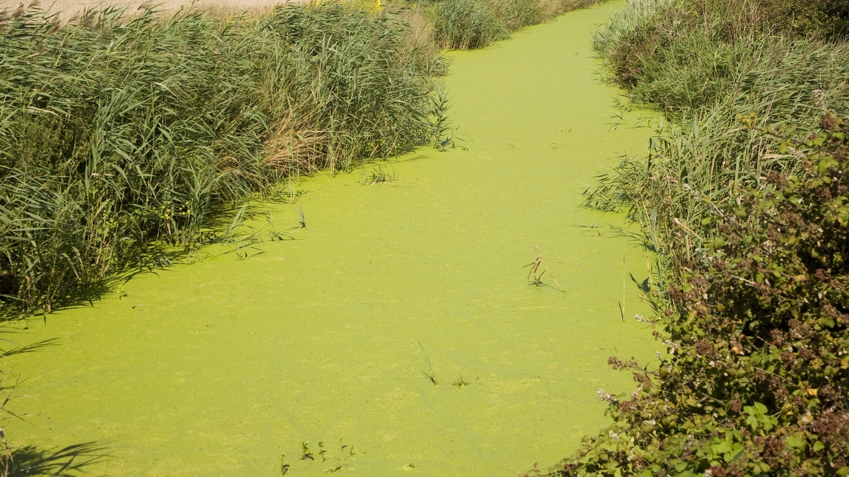 Ireland’s best and least-explored lagoons