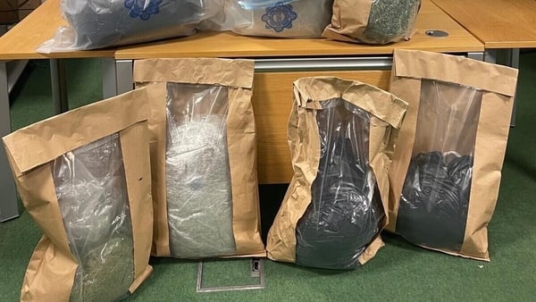 Gardaí discovered 111 sapling cannabis plants and more than 25kg of cannabis herb