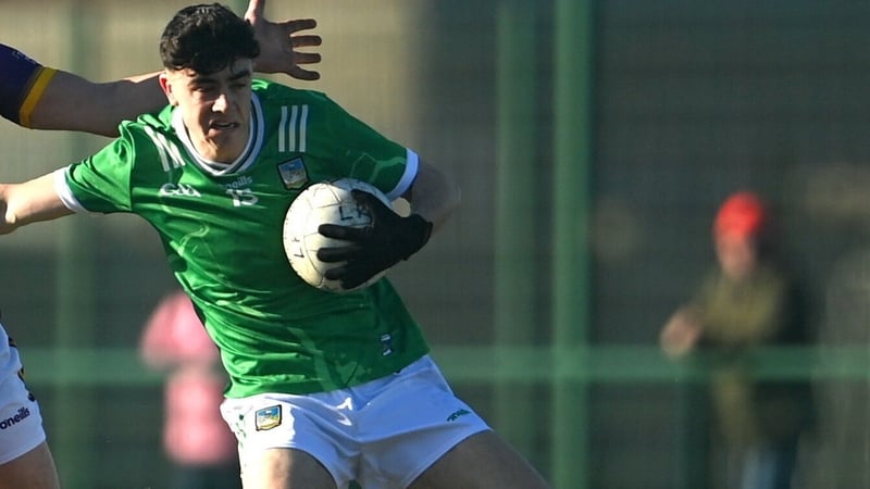Andrew Meade's goal gave Limerick a perfect start