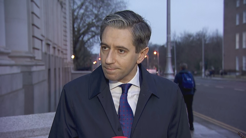 Simon Harris said the rules around peacekeeping duties are very clear