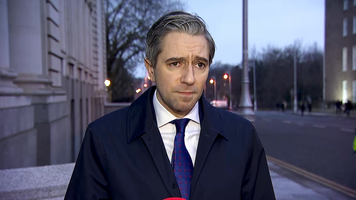 Tánaiste Simon Harris responds to Donald Trump's "liberation day" tariffs