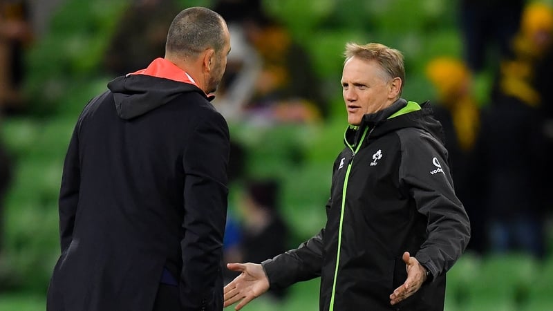 Michael Cheika, left, and Joe Schmidt