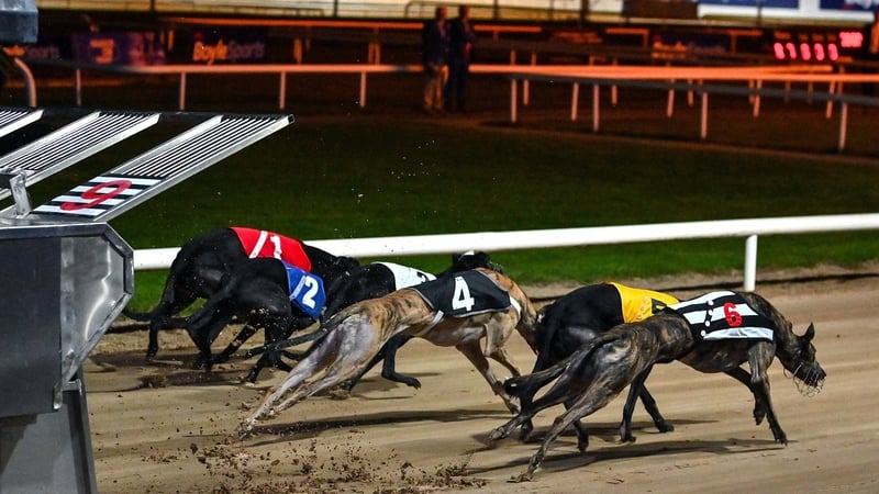 Greyhound racing in Ireland is funded by state for €19.8 million each year