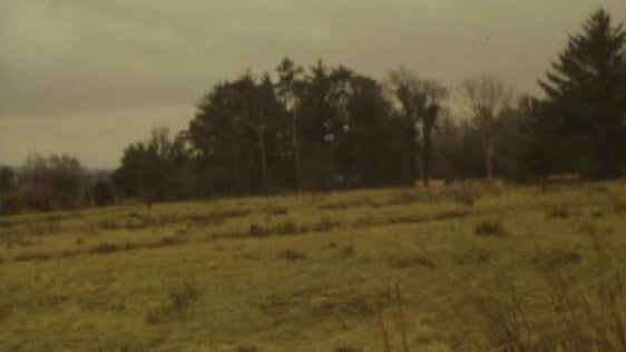 Leitrim Afforestation