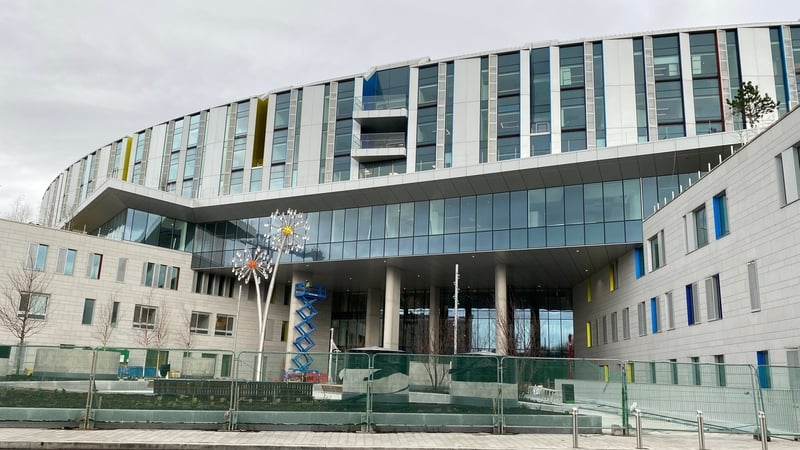 Minister for Health Jennifer Carroll MacNeill said parts of Dublin city might have to be closed down to facilitate moving sick children from other hospitals to the NCH (file image)