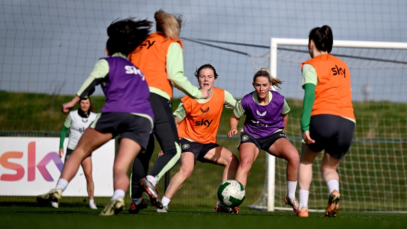 Republic of Ireland players go through their paces at the FAI National Training Centre in Abbotstown