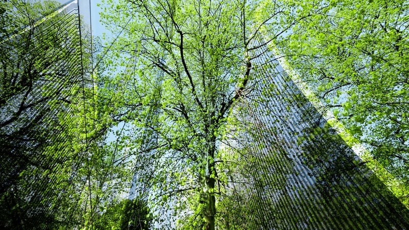 In reality, sustainability is no longer optional for companies.