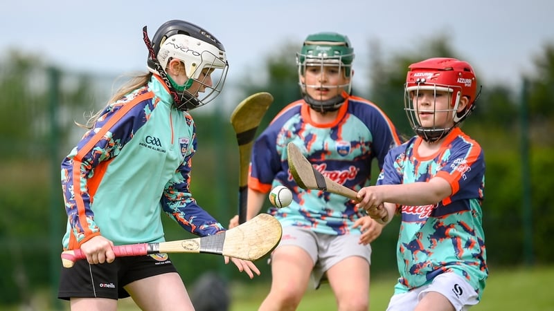 Liam Griffin's Congress proposal seeks that every club in Ireland would field at least one hurling team between the under-7 and under-10 grades
