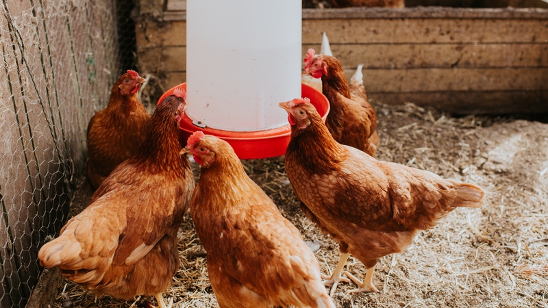 Restrictions have been put in place near the premises (Stock image)