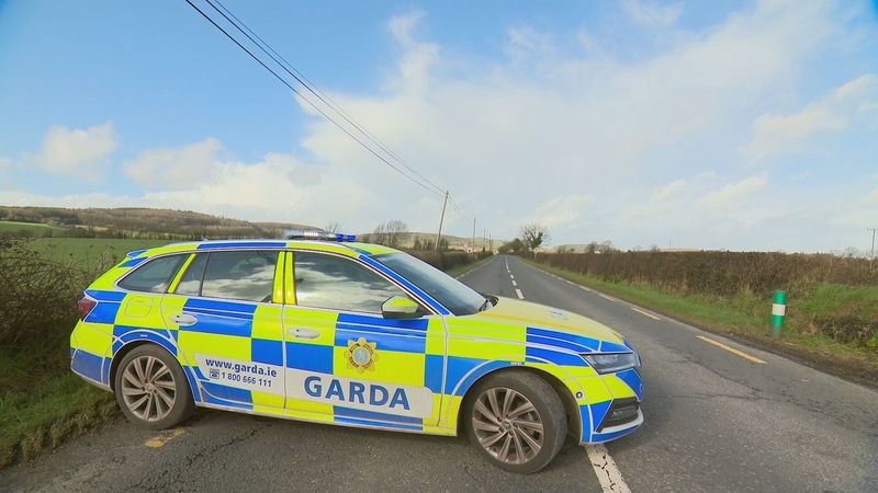 The crash occurred on the N80 at Crannagh near Stradbally at around 10.45pm