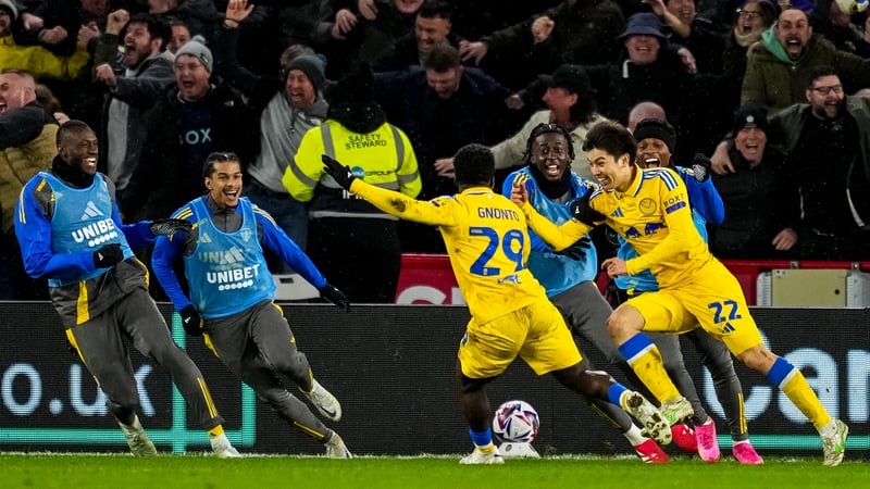 Ao Tanaka (R) celebrates with his team-mates after Leeds' second goal
