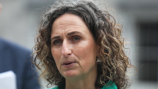 Lynn Boylan voiced concerns about the operational oversight and legality of the proposed stabilisation force in Gaza as part of the peace plan