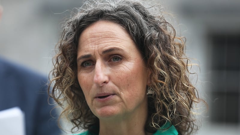 Lynn Boylan said the EU must respond to Israel's decision to refuse entry to EU officials