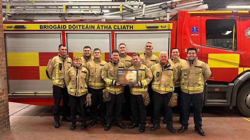 The Hero to Animals award was given to firefighters from D Watch at Dolphin's Barn Fire Station (Pic: Dublin Fire Brigade)