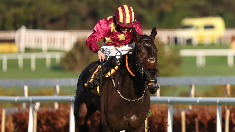 With just over a week until the start of the Cheltenham Festival, Koktail Divin will be skipping his engagement in the Turners Novices' Hurdle