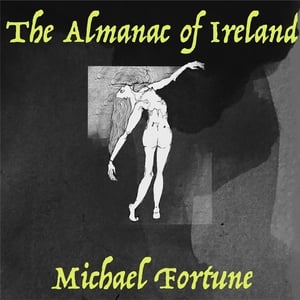 Michael Fortune show image