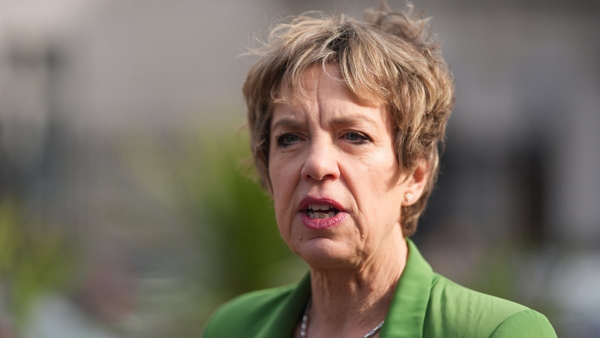 Left wing parties to meet about Seanad bye-election candidate