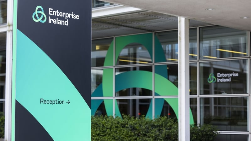 Enterpris Ireland told the Department of Enterprise late last year they were looking to recruit their new boss with a pay package worth €300,000 a year