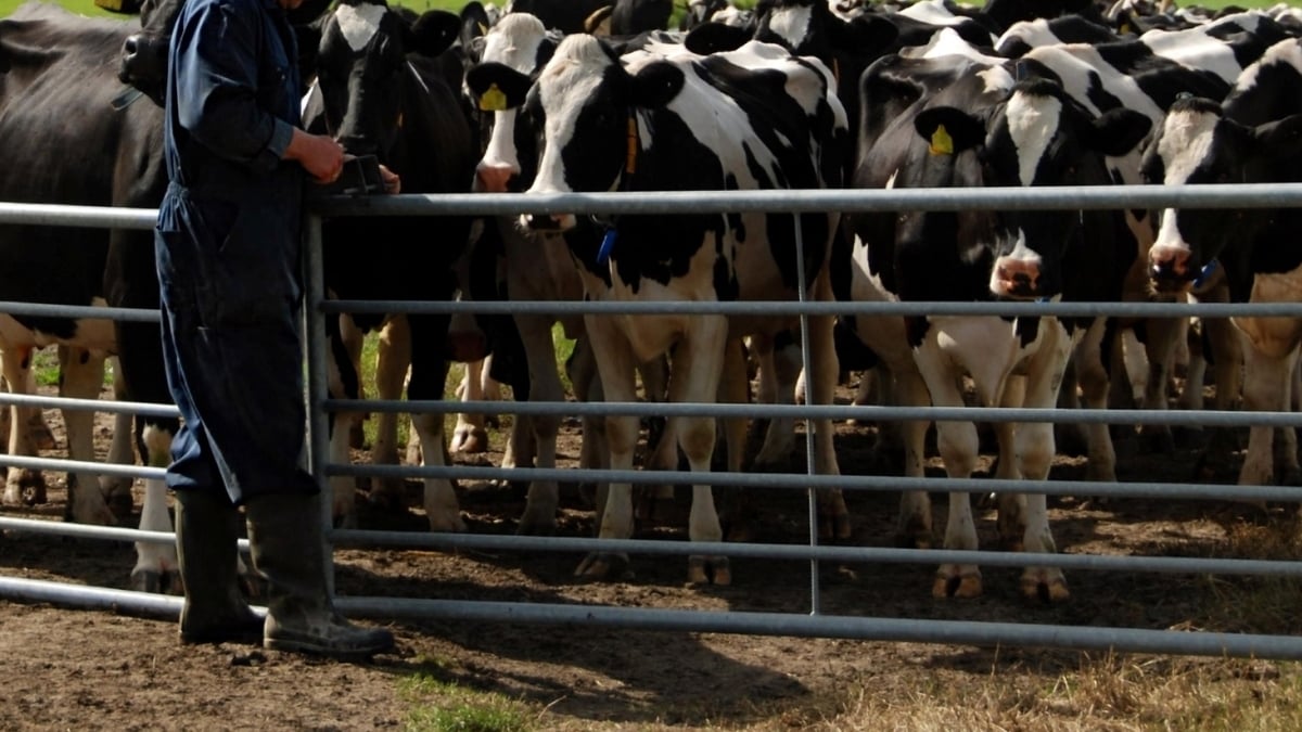 Should vets do health checks on farmers? 