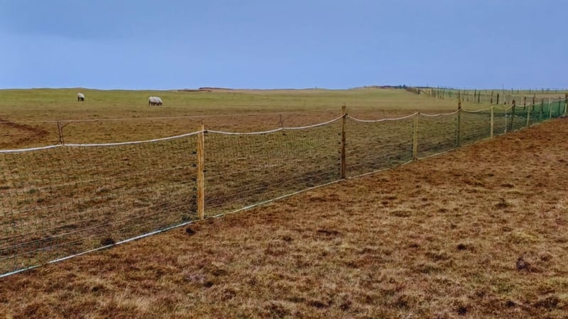 The fencing runs for 1.6km in the Valley area of Acaill