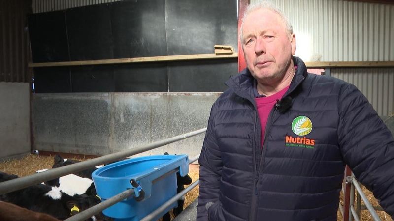 Henry Walsh said he has lost hope that they have found the source of the problem