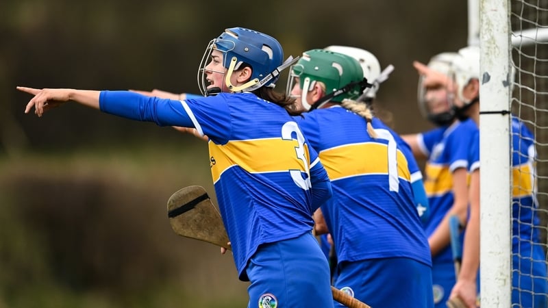 Tipperary's Julieanna Bourke during the Very National Camogie League Division 1A match against Kilkenny