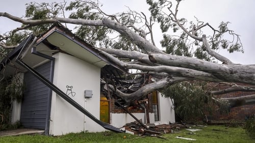 A tree fell on a house in Elanora in Queensland