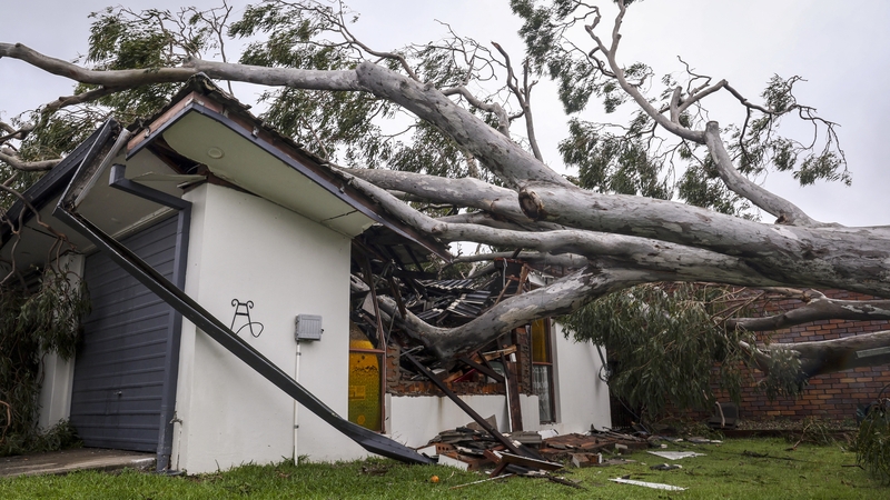 A tree fell on a house in Elanora in Queensland