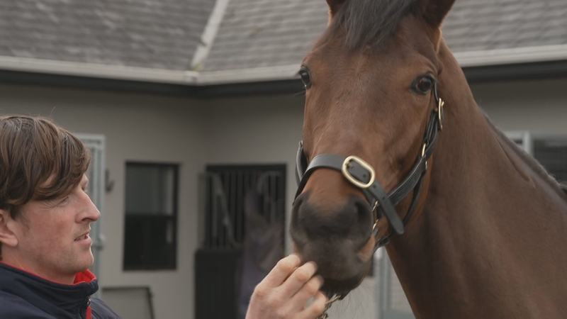 Luker's Tipple is 'our big hope' says trainer Andrew Kinirons