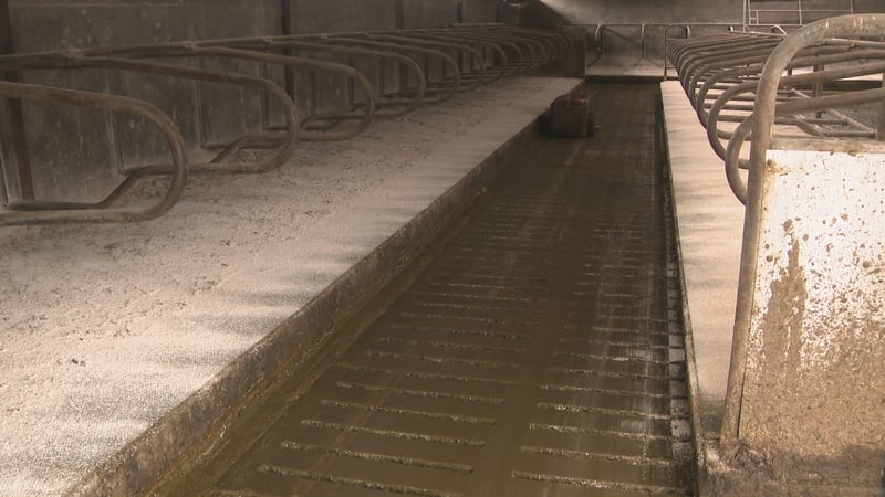 The GasAbate system was installed on Raymond Goggin's farm in Co Cork last autumn