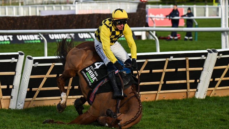 State Man falls at the last when leading the Champion Hurdle