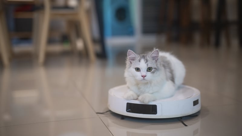 Machines are part of our lives, from Alexa listening in on conversations in our living rooms, to the many Roombas used as Ubers by cats. Photo: Getty Images