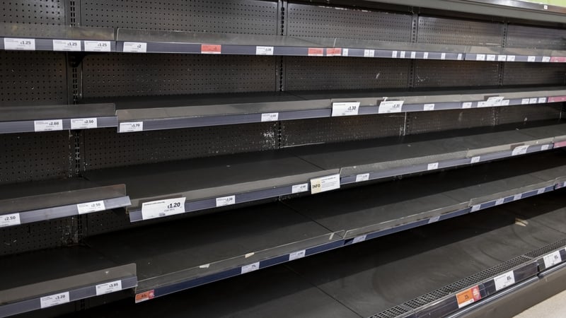 Empty supermarket shelves in the aftermath of the UK's exit from the EU (stock image)