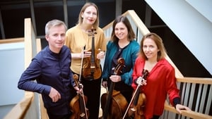 Culture 5 with Derek O'Connor show image