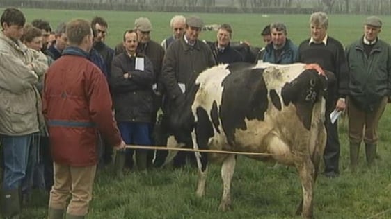 Farmers with Teagasc advisor (2000)