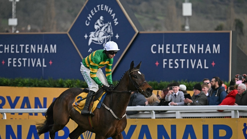 Fact To File won by nine lengths