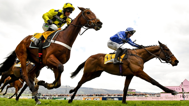 Lulamba (near side) reopposes Poniros at Punchestown