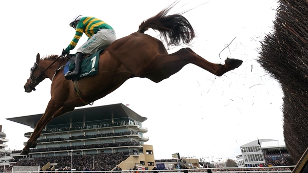 Dinoblue impressed in the Mares' Chase