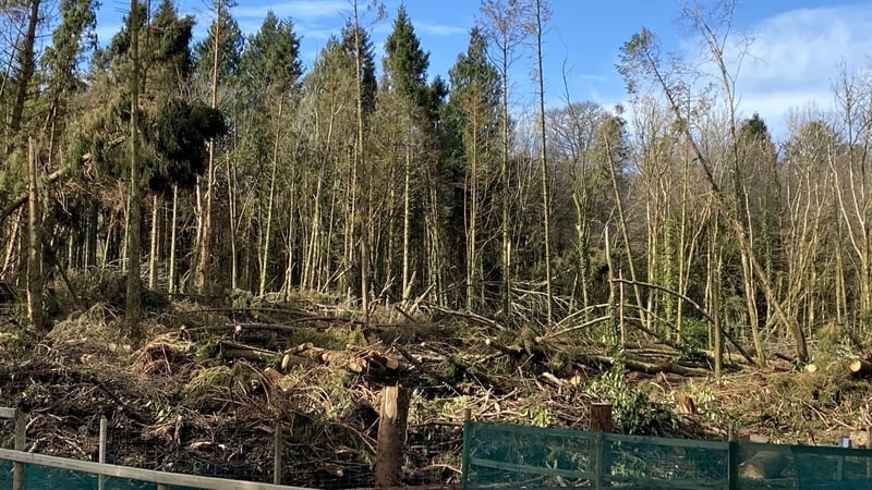 Lough Key Forest Park will welcome campers back for the first time this weekend after storms damaged areas of the park