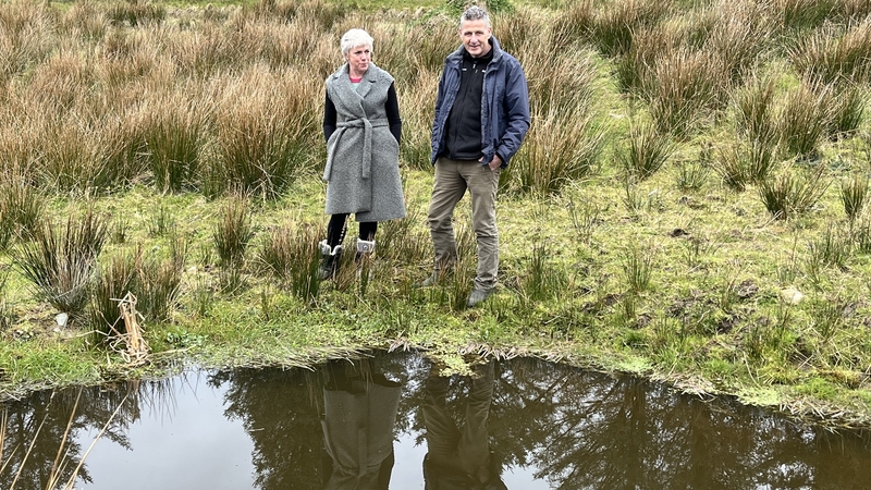Kate Meleady, pictured with Brendan Dunford, carried out work on her four acres of land with the help of the 'The Hare's Corner' initiative